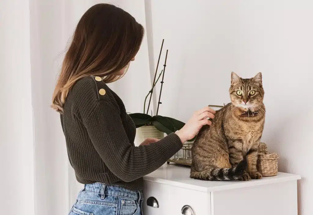 At home pet grooming